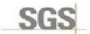 SGS logosu